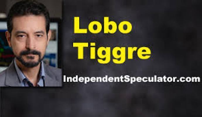 Lobo Tiggre: Tôi đang chờ mức đỉnh mới của vàng và bạc. Bởi vì… (Phần 1)